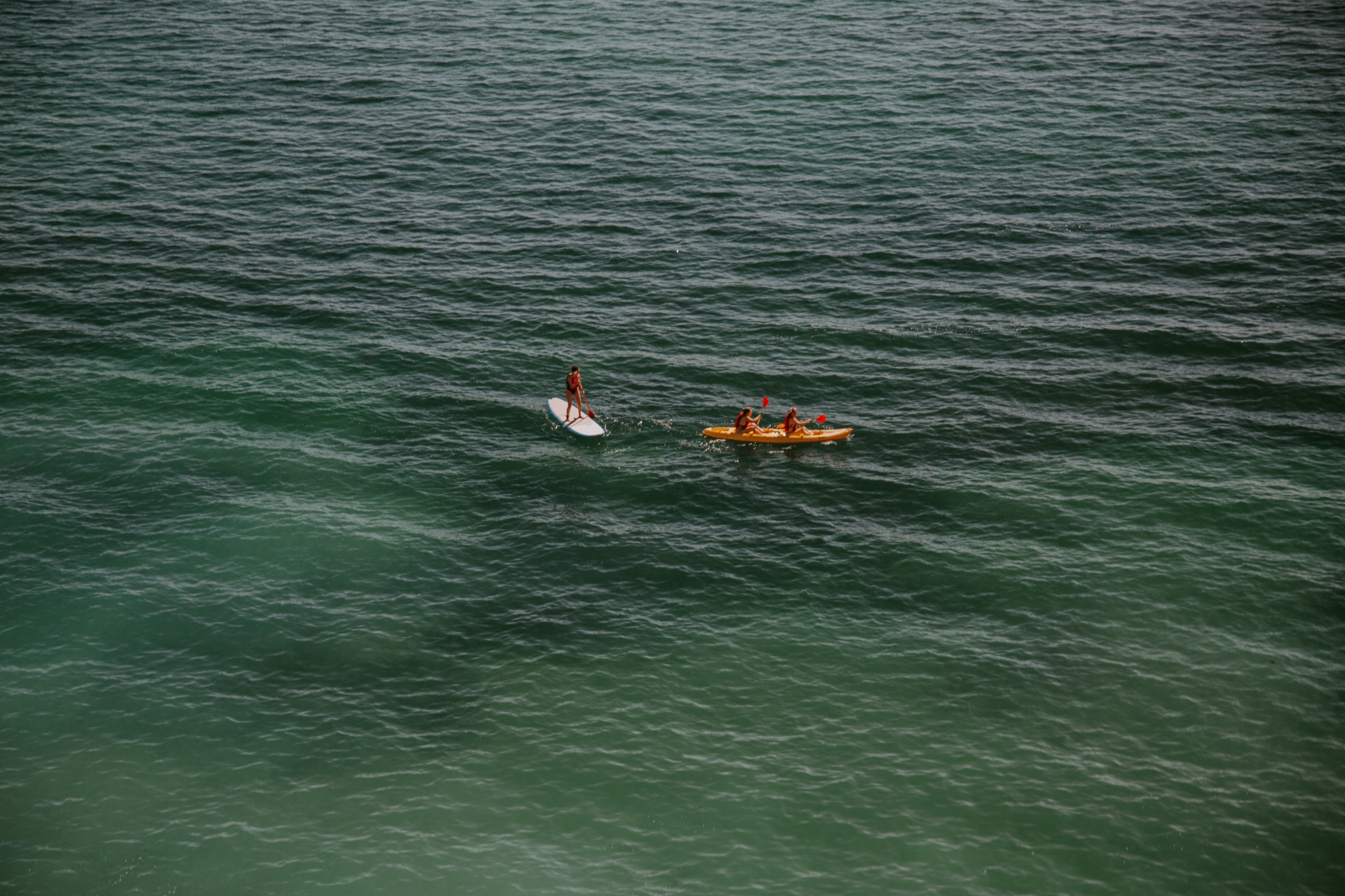 adventurists-paddle-on-open-green-water.jpg