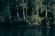 Howe Sound Floating Sauna (Bring Your Own Boat)